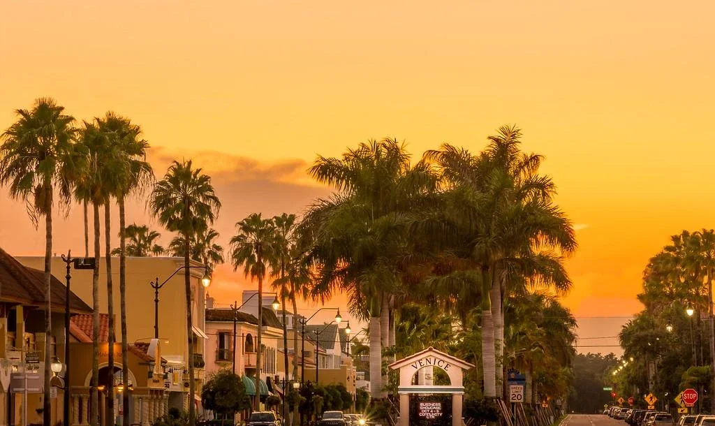 Palm-lined downtown street in Venice, Florida at sunset